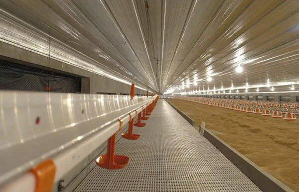 giải pháp lysaght agrished