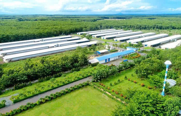 giải pháp lysaght agrished