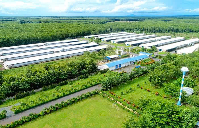 giải pháp lysaght agrished